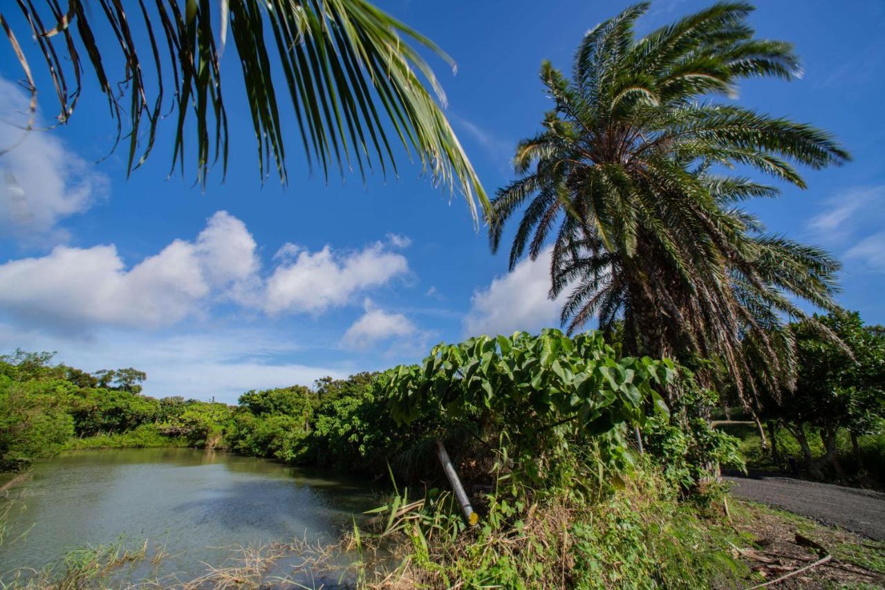 Toptai Homestay كنتيج المظهر الخارجي الصورة